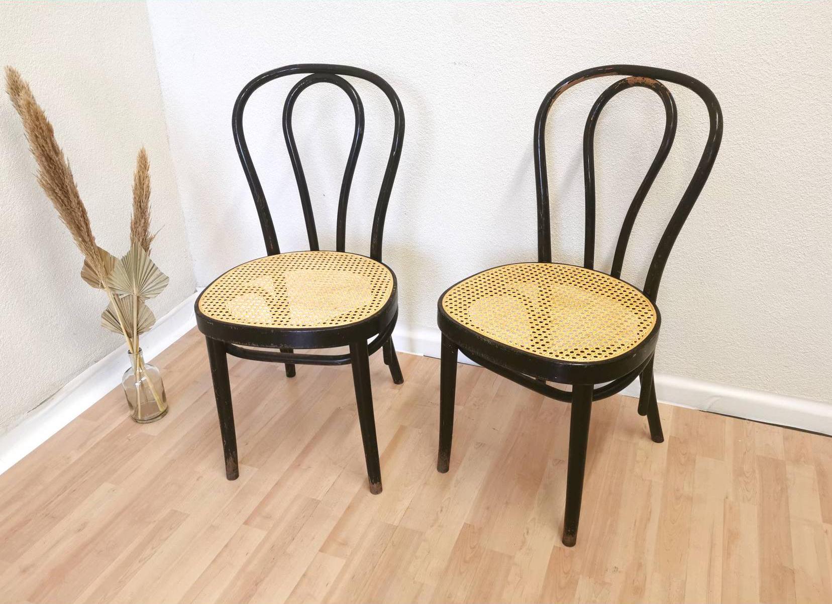 ダイニングチェア Bentwood socks chair ダイニングチェア Bentwood socks chair ソックス ダイニングチェア