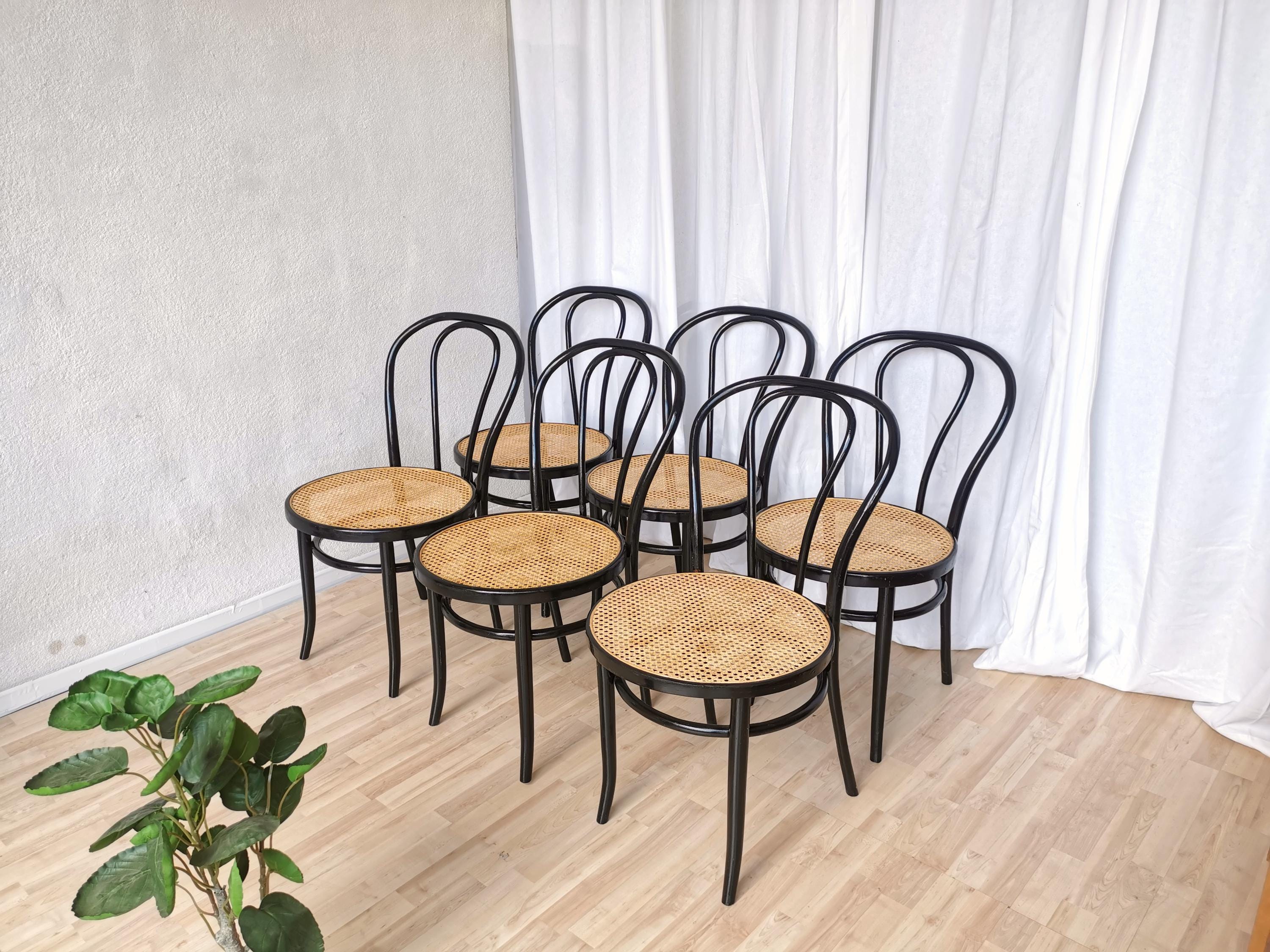 ダイニングチェア vintage thonet chair Vintage Thonet Bentwood Chairs, Set of 8 - Etsy