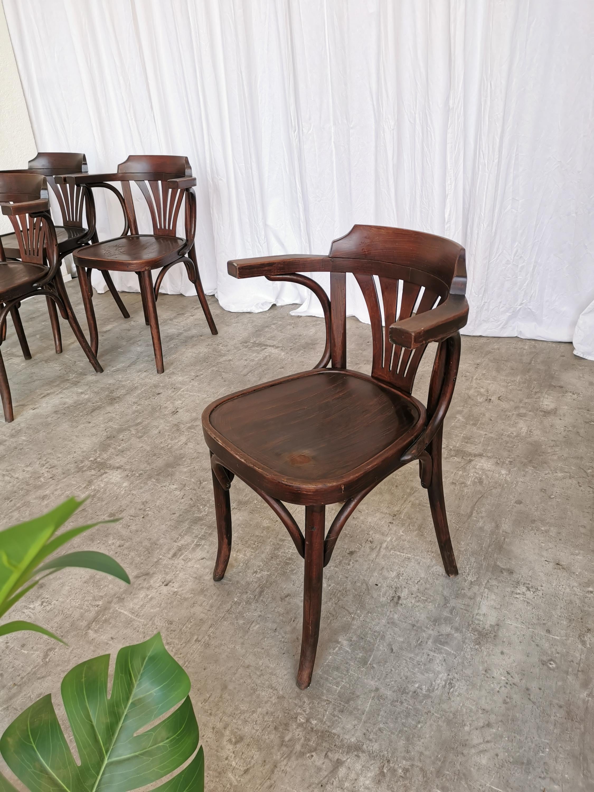 Antique thonet chair - Etsy 日本