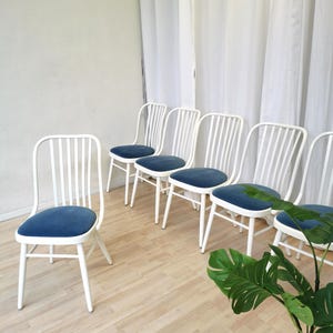 Sedia da pranzo vintage in legno curvato: sedia in legno bianco di metà secolo, seduta in tessuto blu