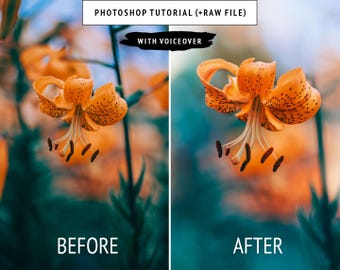 May include: A close-up of an orange flower with dark spots and long stamens. The image includes the text "Photoshop Tutorial (+RAW FILE)" and "WITH VOICEOVER". The words "BEFORE" and "AFTER" are displayed at the bottom of the image.