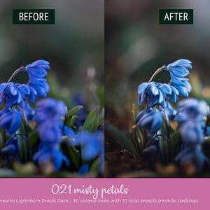 May include: A split image showcasing a before-and-after comparison of a photo edit. The focus is on vibrant blue flowers with green foliage. The text reads "021 misty petals" and "Floral Dreams Lightroom Preset Pack".