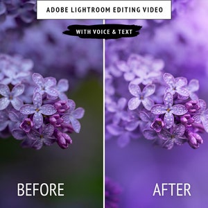 May include: A close-up of a cluster of purple lilac flowers with water droplets on the petals. The image is split in half, showing the before and after effects of editing in Adobe Lightroom. The text "Adobe Lightroom Editing Video" and "With Voice & Text" is displayed at the top of the image.
