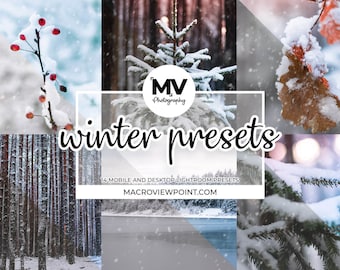 14 Colorful Winter Lightroom Presets: Nature & Macro (DNG, XMP)