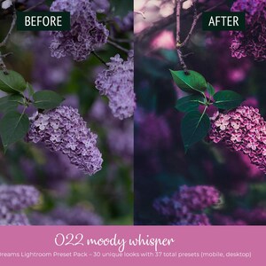 May include: Image comparison of a lilac branch before and after editing. The "before" image shows a softer, less vibrant purple, while the "after" image has enhanced color and contrast. The image also includes text: "022 moody whisper" and "Floral Dreams Lightroom Preset Pack".