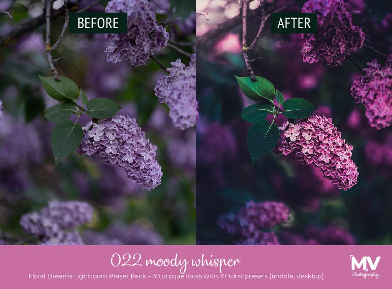 May include: Image comparison of a lilac branch before and after editing. The "before" image shows a softer, less vibrant purple, while the "after" image has enhanced color and contrast. The image also includes text: "022 moody whisper" and "Floral Dreams Lightroom Preset Pack".