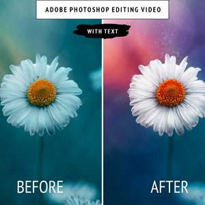 Puede incluir: Imagen antes y después que muestra una margarita blanca con un centro amarillo sobre un fondo azul verdoso. La imagen después tiene un fondo azul verdoso más vibrante con un efecto suave y brillante alrededor de la margarita.