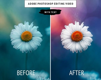 May include: Before and after image showing a white daisy with a yellow centre against a blue-green background. The after image has a more vibrant blue-green background with a soft, glowing effect around the daisy.