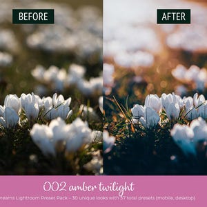 May include: Image comparison showing a field of white flowers before and after applying a filter. The "Before" image is on the left, and the "After" image is on the right. Text at the bottom reads "002 amber twilight" and "Floral Dreams Lightroom Preset Pack".