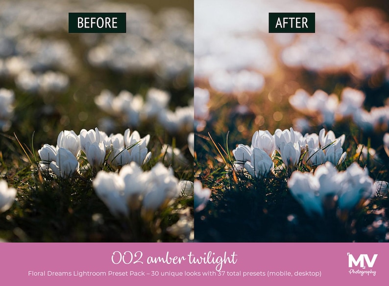 May include: Image comparison showing a field of white flowers before and after applying a filter. The "Before" image is on the left, and the "After" image is on the right. Text at the bottom reads "002 amber twilight" and "Floral Dreams Lightroom Preset Pack".