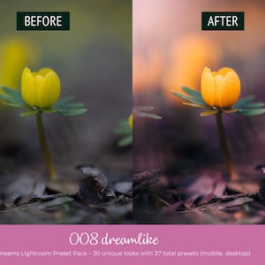 May include: Image comparison of a flower before and after editing. The "BEFORE" image shows a yellow flower with green leaves. The "AFTER" image shows the same flower with enhanced colors. Text at the bottom reads "008 dreamlike" and "Floral Dreams Lightroom Preset Pack".