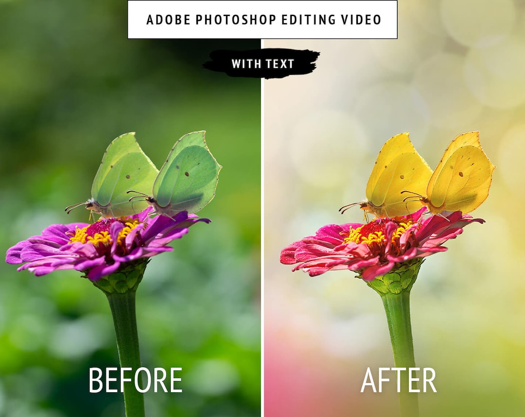 Adobe Photoshop Editing Video Tutorial With English Text: Dreamy Macro