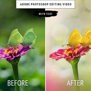 Photoshop Dreamy Butterfly-handledning: Bokeh och suddiga element (engelsk text)