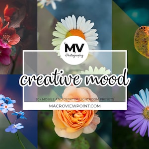 Peut inclure: Un collage de photos de fleurs colorées avec le texte "creative mood" et "20+ presets Lightroom mobiles et de bureau" et le site web "macroviewpoint.com".
