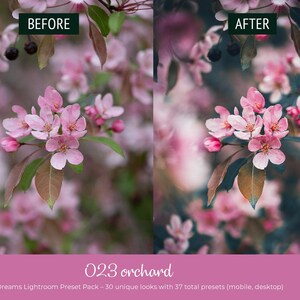 May include: A split image showcasing a floral theme. The left side displays a 'before' image of pink blossoms with green and brown leaves. The right side shows an 'after' image with enhanced colors. Text reads "023 orchard" and "Floral Dreams Lightroom Preset Pack".