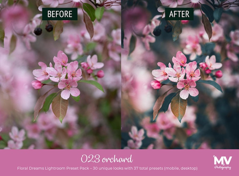 May include: A split image showcasing a floral theme. The left side displays a 'before' image of pink blossoms with green and brown leaves. The right side shows an 'after' image with enhanced colors. Text reads "023 orchard" and "Floral Dreams Lightroom Preset Pack".