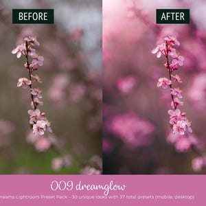 May include: Image comparison of a floral photograph before and after editing. The 'before' image has a muted color palette, while the 'after' image has enhanced pink tones. The image includes the text "009 dreamglow" and "Floral Dreams Lightroom Preset Pack".