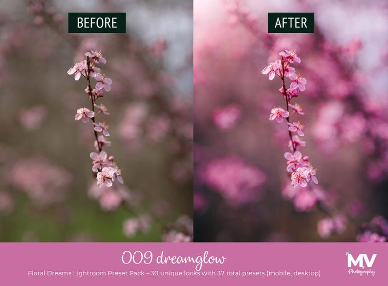 May include: Image comparison of a floral photograph before and after editing. The 'before' image has a muted color palette, while the 'after' image has enhanced pink tones. The image includes the text "009 dreamglow" and "Floral Dreams Lightroom Preset Pack".