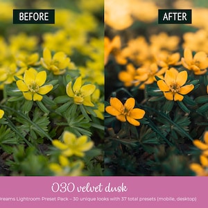 May include: Image comparison of a floral photograph before and after editing. The "before" image shows yellow flowers with green leaves. The "after" image shows the same flowers with enhanced color. Text at the bottom reads "030 velvet dusk" and "Floral Dreams Lightroom Preset Pack".