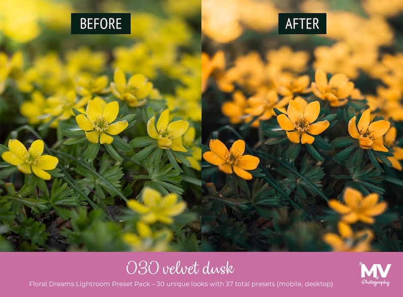 May include: Image comparison of a floral photograph before and after editing. The "before" image shows yellow flowers with green leaves. The "after" image shows the same flowers with enhanced color. Text at the bottom reads "030 velvet dusk" and "Floral Dreams Lightroom Preset Pack".
