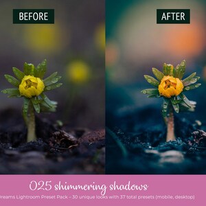 May include: A split image showcasing a yellow flower with green leaves, before and after editing. The "Before" image has a muted tone, while the "After" image has enhanced colors. Text reads "025 shimmering shadows" and "Floral Dreams Lightroom Preset Pack".