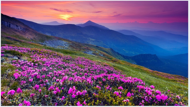 Zoom Calming Mountains Background 5-pack 1 High Quality Zoom Background