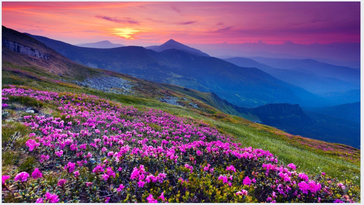 Free Zoom Backgrounds Mountains