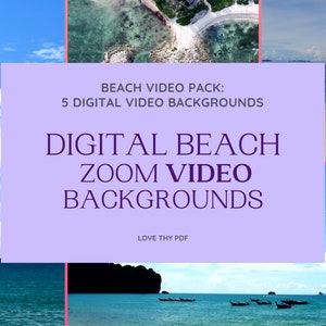 Zoom  Beach VIDEO Background 5-Pack - High Quality Video Zoom Background | Beach | Palm Tree | Sailing | Landscape | Calming | Tropical