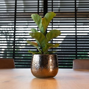 May include: A green leafy plant in a hammered silver pot sits on a light wood table in front of a window with black blinds.