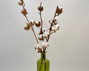 Natural Dried Cotton Branches, Dried Cotton Stems, 45-50 cm, Dried Flower Arrangements, Home Decor,Mother's day Gifts