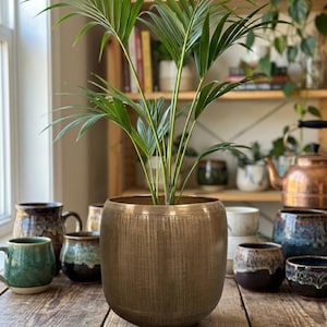May include: A metallic bronze-toned planter with a vertical ribbed texture containing a green palm plant. The cylindrical pot features a smooth rim and a rounded base, sitting centrally among various ceramic mugs and a copper kettle.