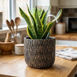May include: A snake plant with long, pointed green leaves featuring yellow edges, potted in a cylindrical container with a dark, textured, woven-like surface pattern. The plant stands upright with multiple leaves radiating from the centre.