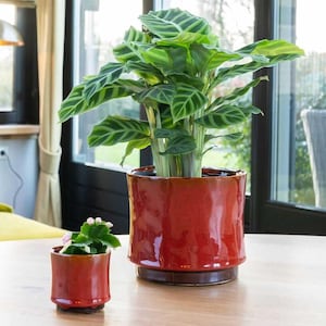 Handmade Red Glazed Plant Pot: Nolan Retro Planter, multiple sizes, d7-d24cm, cracked design