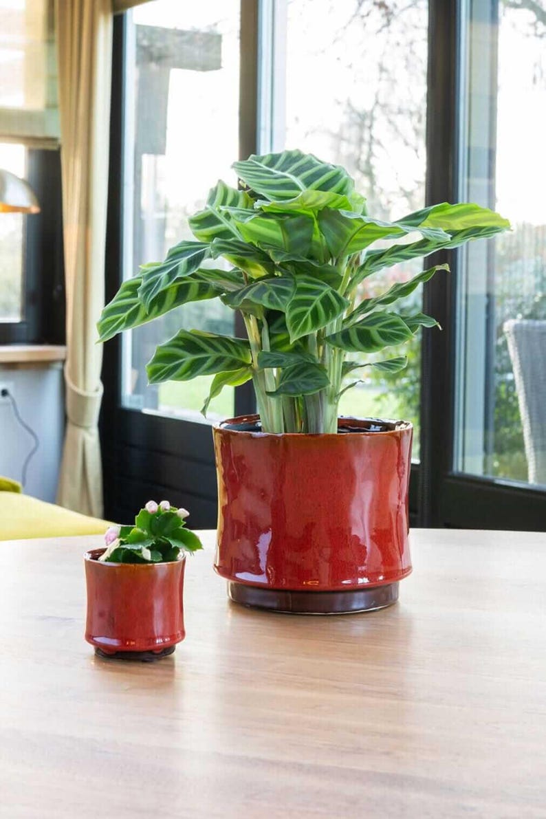 Handmade Red Glazed Plant Pot: Nolan Retro Planter, multiple sizes, d7-d24cm, cracked design image 1
