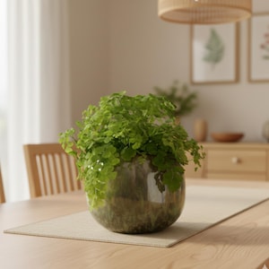 Odile Handmade Green Ceramic Plant Pot: Retro Style, multiple sizes, D15cm-d24cm