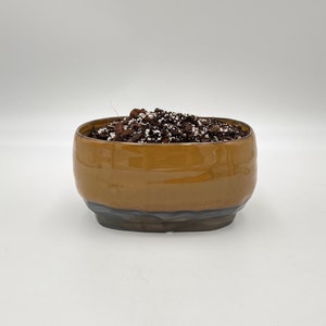 May include: A brown oval ceramic planter with a dark brown rim and a layer of brown and white potting soil.