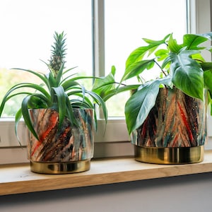 May include: Two decorative plant pots with colourful abstract designs and gold-coloured bases sit on a wooden windowsill. One pot holds a pineapple plant, the other a leafy green plant. The window is in the background.