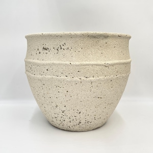May include: A white ceramic planter with a textured finish. The planter has a rounded shape and a wide opening.
