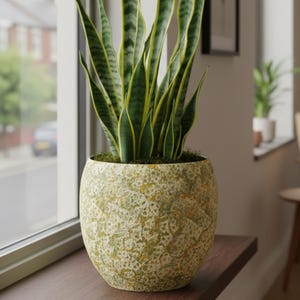 Nikai Ochre Yellow Ceramic Plant Pot | Multiple Sizes