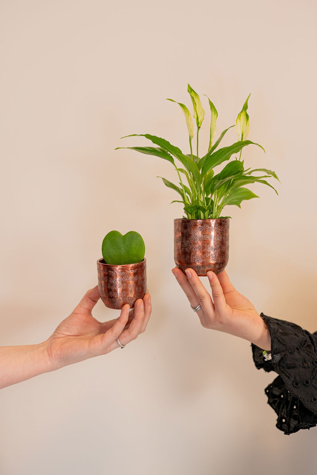 Handmade Copper Plant Pot: Hammered Metal Planter (D7 and 8cm Options ...