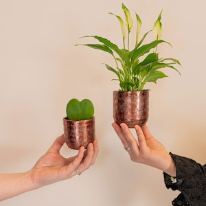 May include: Two hands holding two potted plants. The plant on the left is a heart-shaped plant in a copper pot. The plant on the right is a peace lily in a copper pot.