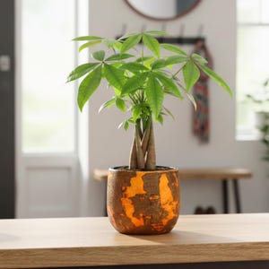 Ceramic Plant Pot Orange Rust, Round, small, large pots