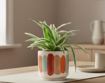 Handgemaakte keramische plantenpot, meerkleurige handgemaakte plantenbak, (d7cm-d17cm)