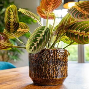 Handmade Ceramic Plant Pot: Savanna Brown Retro Style, Multiple sizes, D15cm-D33cm