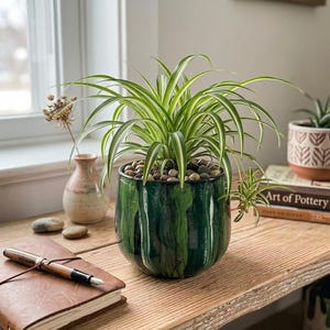 May include: A spider plant with long, thin, green and white variegated leaves potted in a round, dark green glazed ceramic planter with vertical drip patterns. The soil surface is covered with small, smooth, multi-coloured river stones.