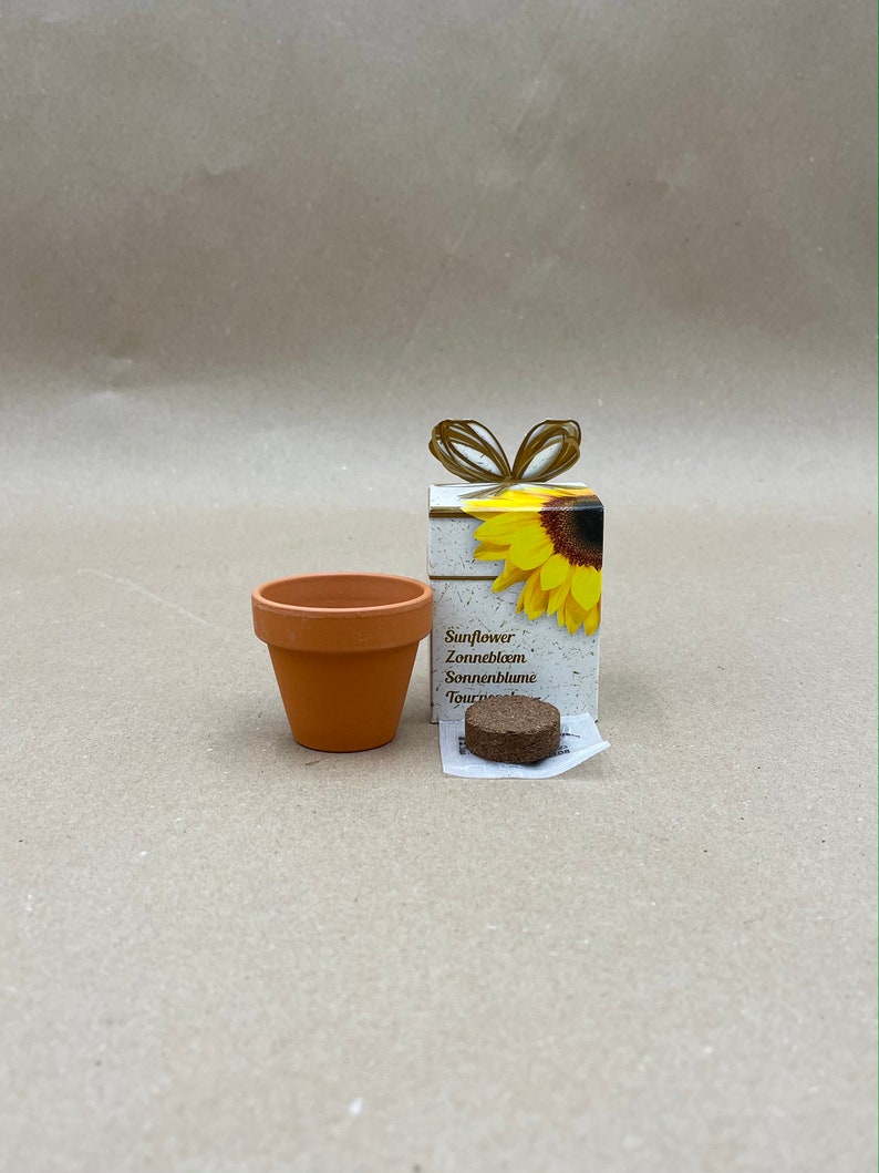 Stunning Sunflower Seed Growing Kit Grow Your Own Flower A Etsy UK