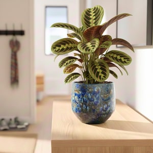 Handmade Blue Marble Ceramic Plant Pot, Harris Artisan Planter, Multiple Sizes, (D16cm-d25cm) Housewarming Gift