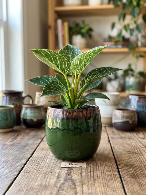 Green Ceramic XL Plant Pot - Handmade Charlotte Retro Glazed Pot, Multiple Sizes, D15cm-d33cm