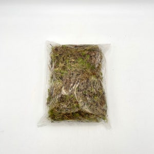 Sphagnum Moss, 2.5 lt, high humidity component, perfect for propagation, high quality sphagnum moss, terrariums component