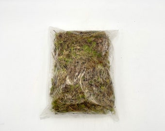 Sphagnum Moss in the bag